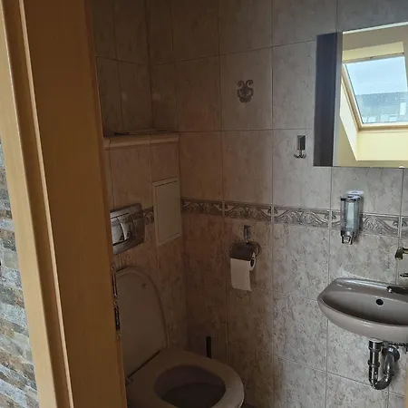 Uresova S Terasou A 3loznice شقة